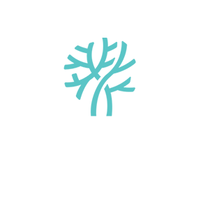 Mangroovy